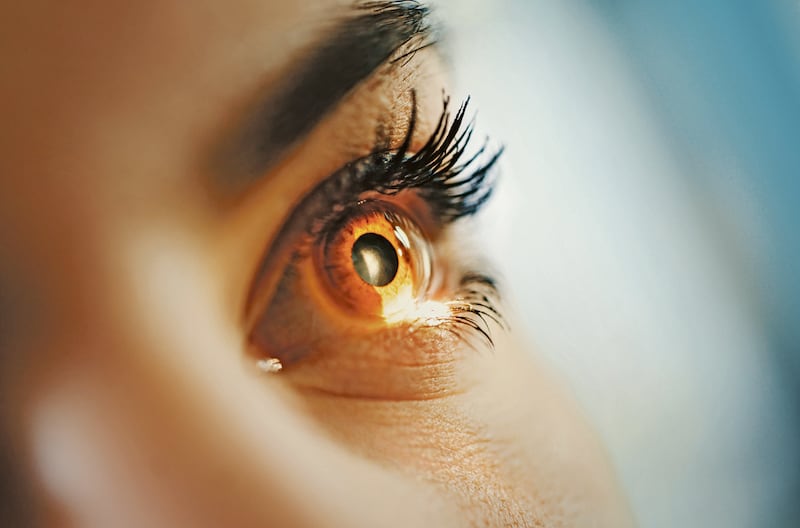 Macro shot of mid 20's brown eyed woman having her eyes examined at optometrists office. Her head is placed into tomography machine and light beam is shining through her retina and lens.