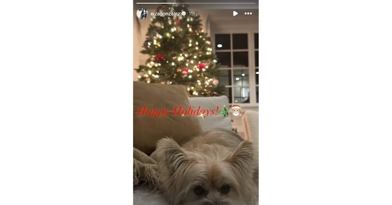 Eiza González decoró su árbol de Navidad de forma sencilla