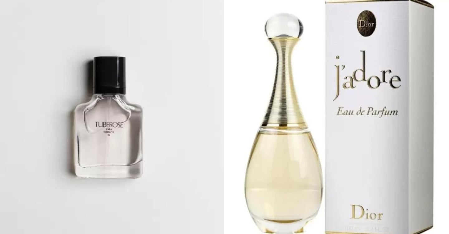 Los 10 Mejores Perfumes Baratos Y Elegantes Que Huelen Muy Parecido A Famosas Fragancias De