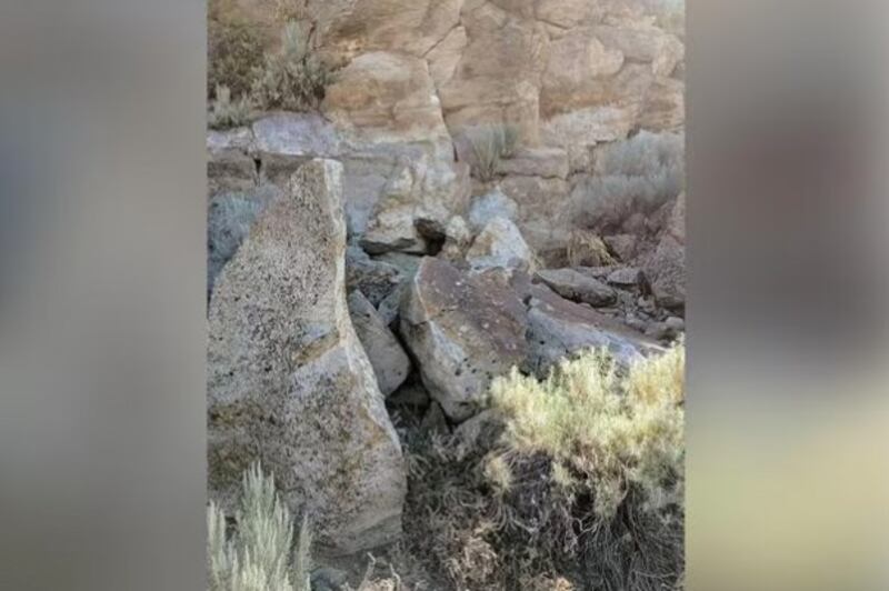 Encuentra el conejo oculto.